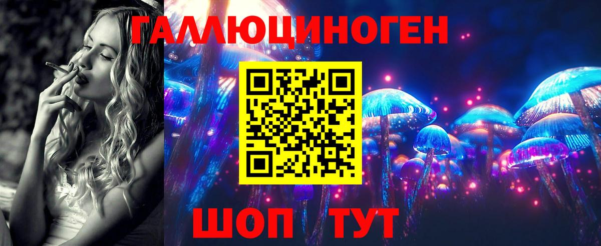 Псилоцибиновые грибы Psilocybine cubensis Полевской